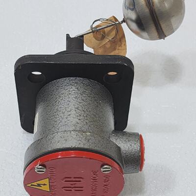 BAYHAM LIMITED RG SERIES 2000 Liquid Nivel Interruptor Como