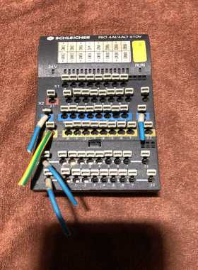 SCHLEICHER-RlO-4Al/4AO-士10V成