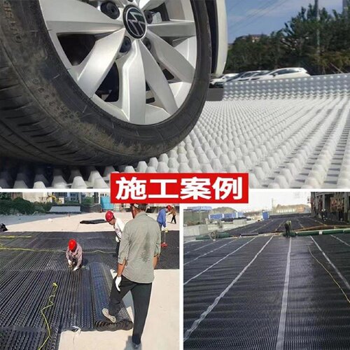 塑料排水板蓄水板屋顶绿化楼顶凹凸型排水板塑料阻跟滤水板疏水板