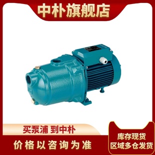 意大利科沛达calpeda水泵T 100旋涡泵冷却循环泵