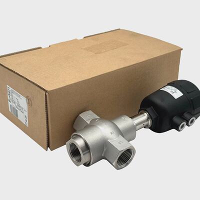 Brkert 2006 B 250 PTFE VA G1 00347118 32WegeVentil unusedOVP