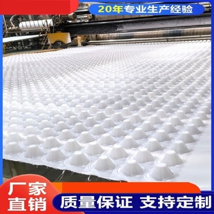 排水板滤水板屋顶绿化楼顶花池阻根地下室20高凹凸型塑料蓄排水板
