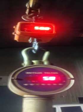 【星慕电子】mettlerToledo托利多高精度吊磅ocs-3l-xz