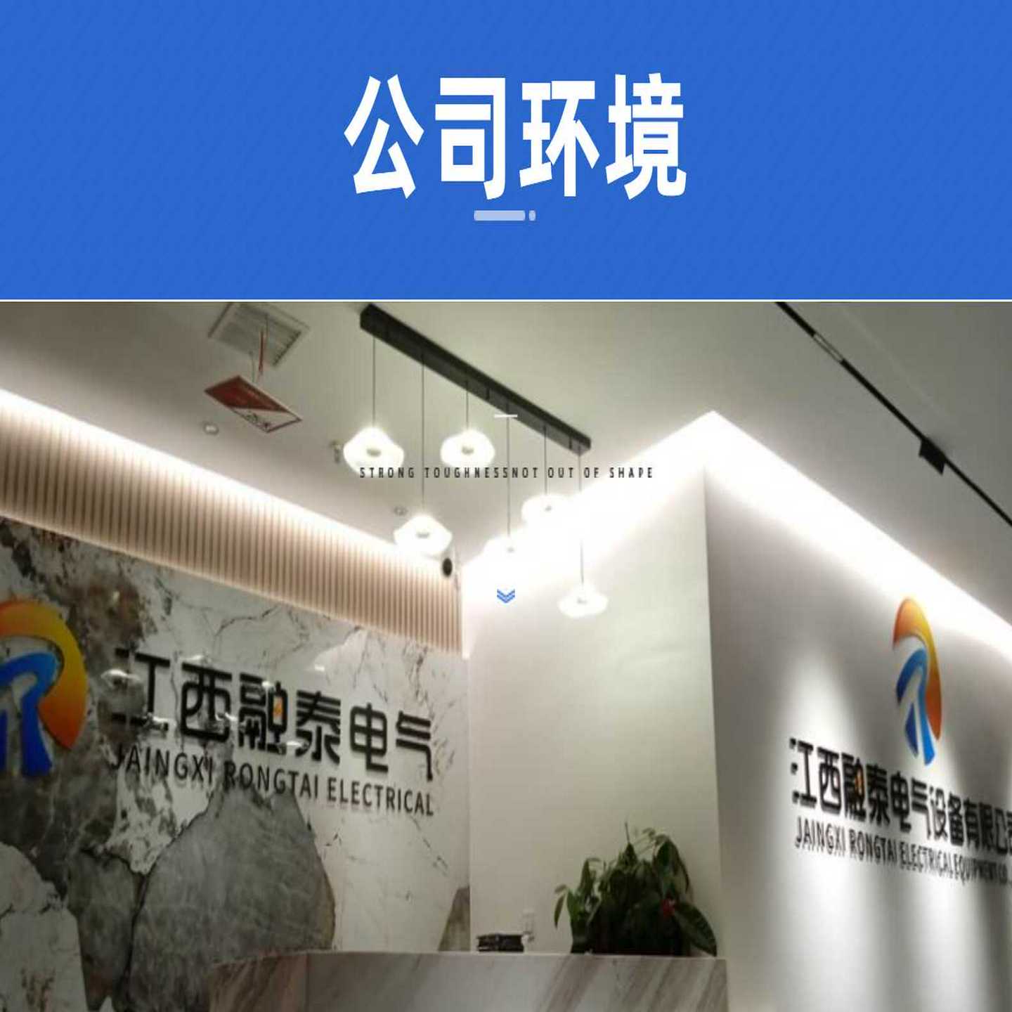 6040.2335赛默飞DIOfNEXViperSST手拧接头系统0.130x350mm