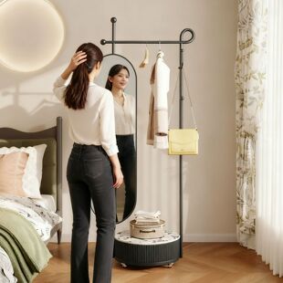 轻奢高级感可移动衣帽架一体镜2025新款家用卧室穿衣镜落地挂衣架