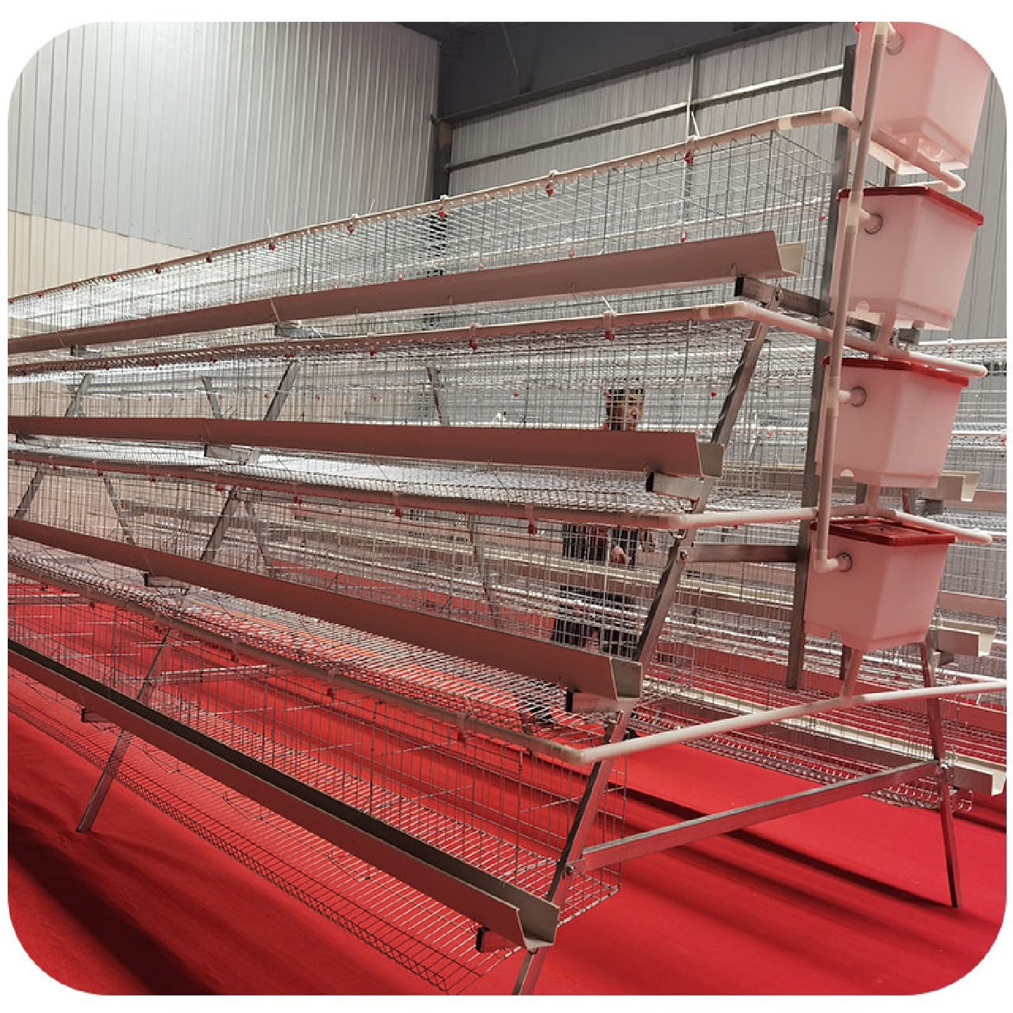 三层四层阶梯式蛋鸡笼笼具家用养殖场自家工厂鸡舍鸡窝,纺织面料/辅料/配套,纺织机械配件,淘宝优惠券,粉丝福利购,淘宝优惠卷