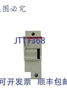 供应保险丝端口 E911251p100a690 v22x58 mm