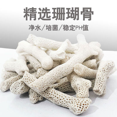 珊瑚骨滤材鱼缸过滤材料鱼池珊瑚石底砂水族箱造景沙稳定净化