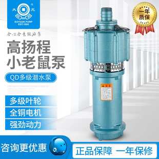 QD家用小型高扬程小老鼠泵立式 大元 多节潜水泵220v清水抽水泵380v