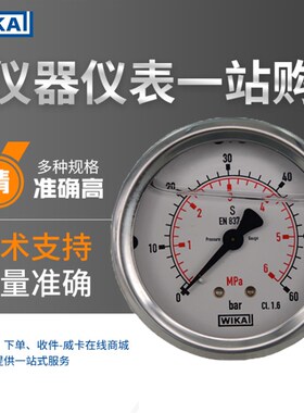 WIKA威卡压力表 EN837-1德国原装全不锈钢压力表 213.53.063 轴向