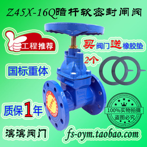 法兰暗杆软密封闸阀Z45X-16Q给水球墨铸铁弹性座封消防自来水阀门