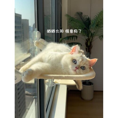 【窗户上该长猫了】吸盘吊床猫咪猫爬架玻璃墙壁式免打孔多猫专用