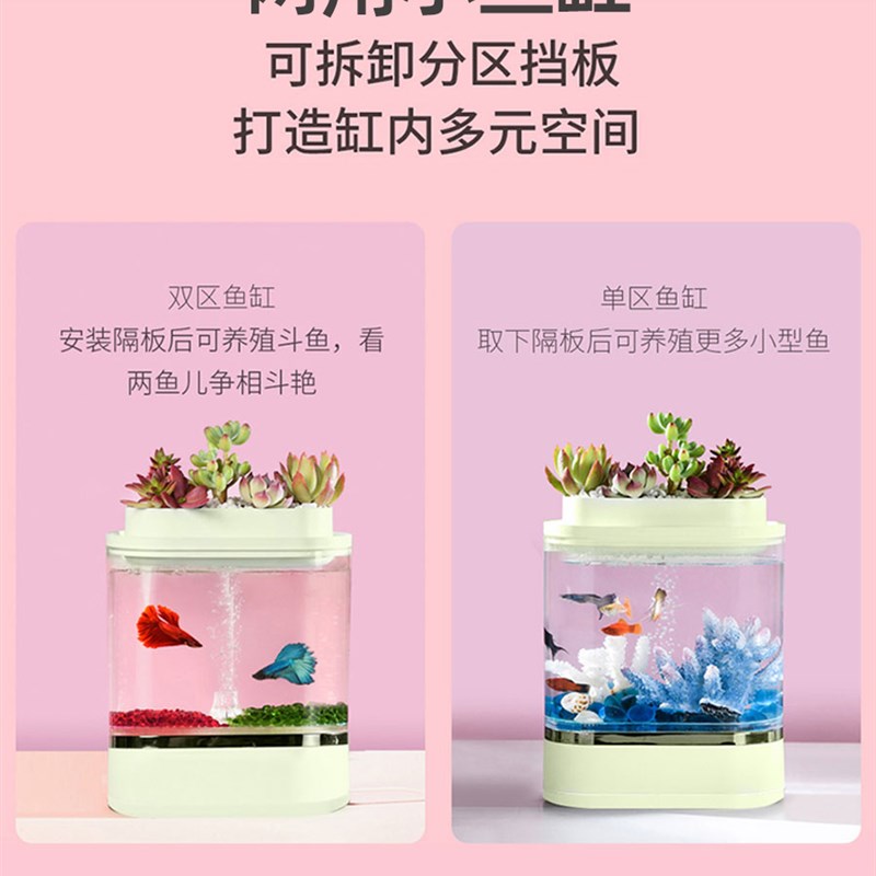 画法几何斗鱼缸亚克力鱼缸桌面小型二合一迷你创意双格一体成型