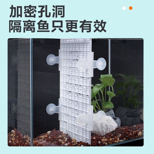 鱼缸底滤板滤材隔板过滤垫板水族网格板隔离板乌龟缸鱼缸底滤垫板