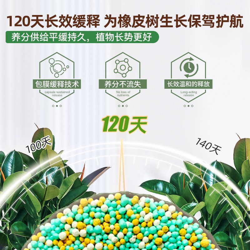 橡皮树肥料花肥黑金刚橡皮树专用肥复合肥黄叶枯萎家用盆栽缓释肥