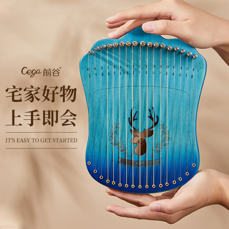 17音指弹弦琴弹拨西洋乐器简单易上手好玩冷门乐器稀奇古怪的乐器