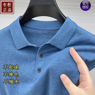 薄款春秋精纺羊毛衫男上衣针织打底衫男款毛衣男士T恤长袖Polo衫