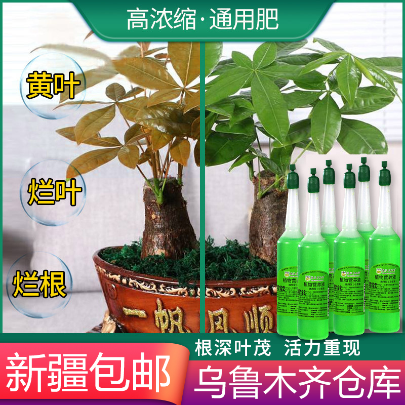 新疆包邮植物通用型浓缩营养液养花土水培绿萝富贵竹多肉花卉肥料