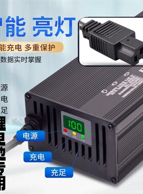 锂电池36v磷酸铁锂11串充电电压40.15V5A8A10A15A18A芯骑达充电器