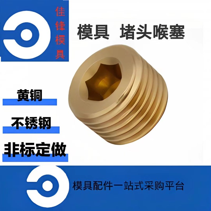 DME不锈钢模具堵头黄铜堵头PT BP BSP喉塞 MSWT/MSWTS现货当天发
