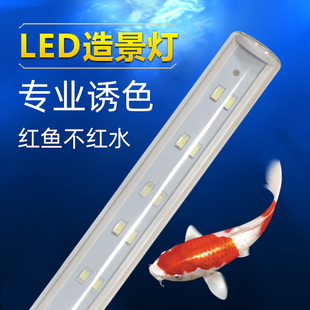 闽江鱼缸灯水族箱三基色LED灯管超亮照明灯管龙鱼防水T8水草灯管
