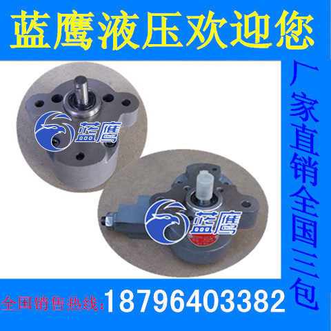 LRB-6 CB-B6锯床油泵CB-B4 CB-B10-D XDR7 CBW-B2.5调压齿轮泵R Y