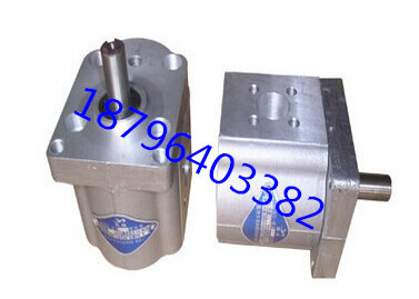 CBS-E304/E306/D308/E310/E312/E314/E316/E320/E325双向齿轮泵