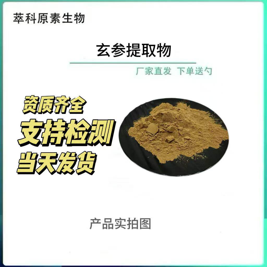 玄参提取物 50:1高比例玄参粉 玄参皂甙 元参提取物500G起订 水溶