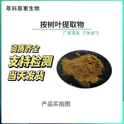 501桉树叶粉桉叶/蓝桉叶