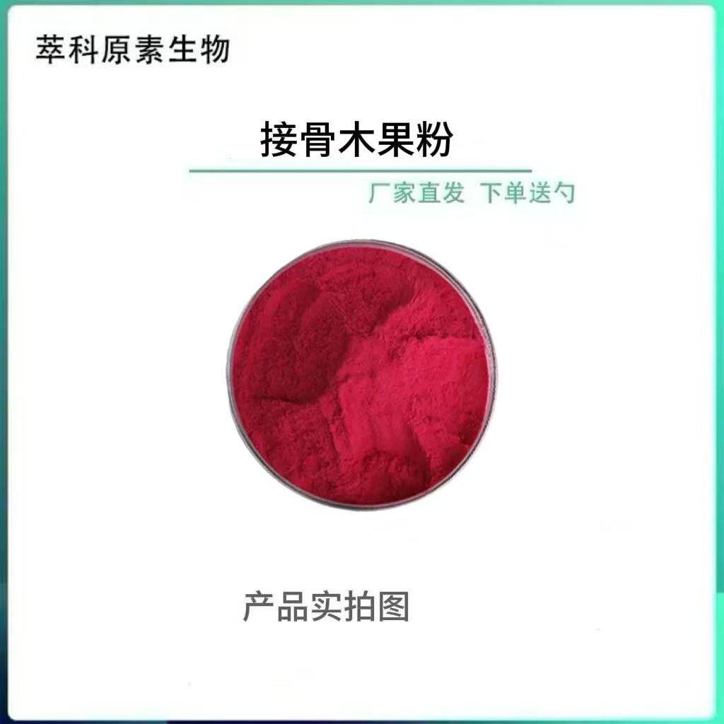 接骨木果粉固体饮料原料
