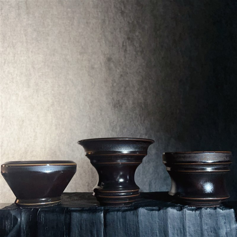 块根植物盆 小号彩金多款合集 沙生植物塊根盆龙舌兰象芽宫盆素里