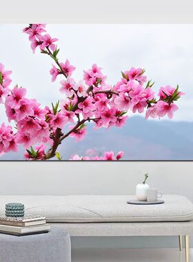桃花挂画旺桃花运桃花装饰画田园风光现代简约卧室床头贴纸自粘画