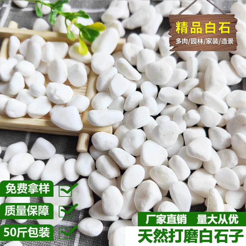 4-20cm白色鹅卵石子 洗米石 园林铺路水族造景用水磨石子