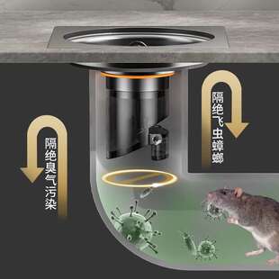 下水道断层加长地漏内芯防臭延长管不锈钢卫生间防虫深水修复通用