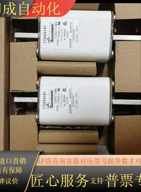 赔钱处理全新巴斯曼BUSMANN熔断器170M4141 31