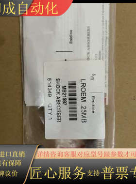 ENIDINE LROEM 25MB缓冲器类