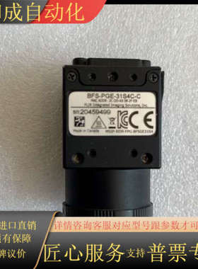 FLIR 灰点 bfs-pge-31s4c-c，320万彩色