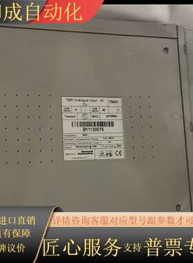 Triplex 罗克韦尔ICS T8431