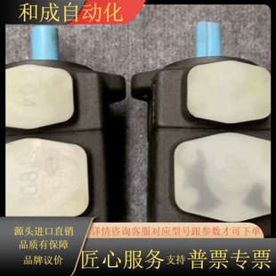 RRL全新油泵叶片泵还有 KCL凯嘉VQ15