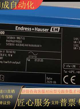 EndlessHauser电磁计Promag 500.