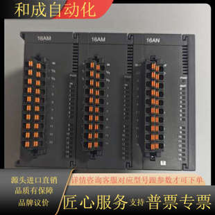 AS16AN01T AS16AM10N PLC模块