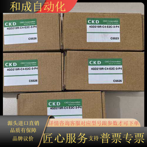 全新CKD电磁阀4GD219R-C4-E2C-3-P4