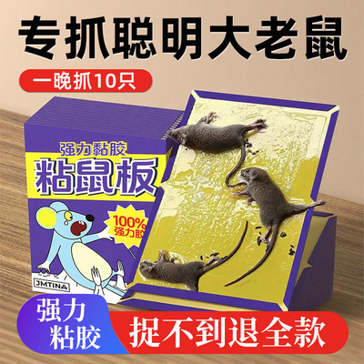 热卖1亿+【亏本冲量】30张老鼠贴