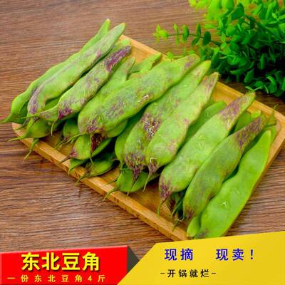 东北特产东北油豆角新鲜特产蔬菜正宗油豆角开锅烂排骨炖豆角4斤