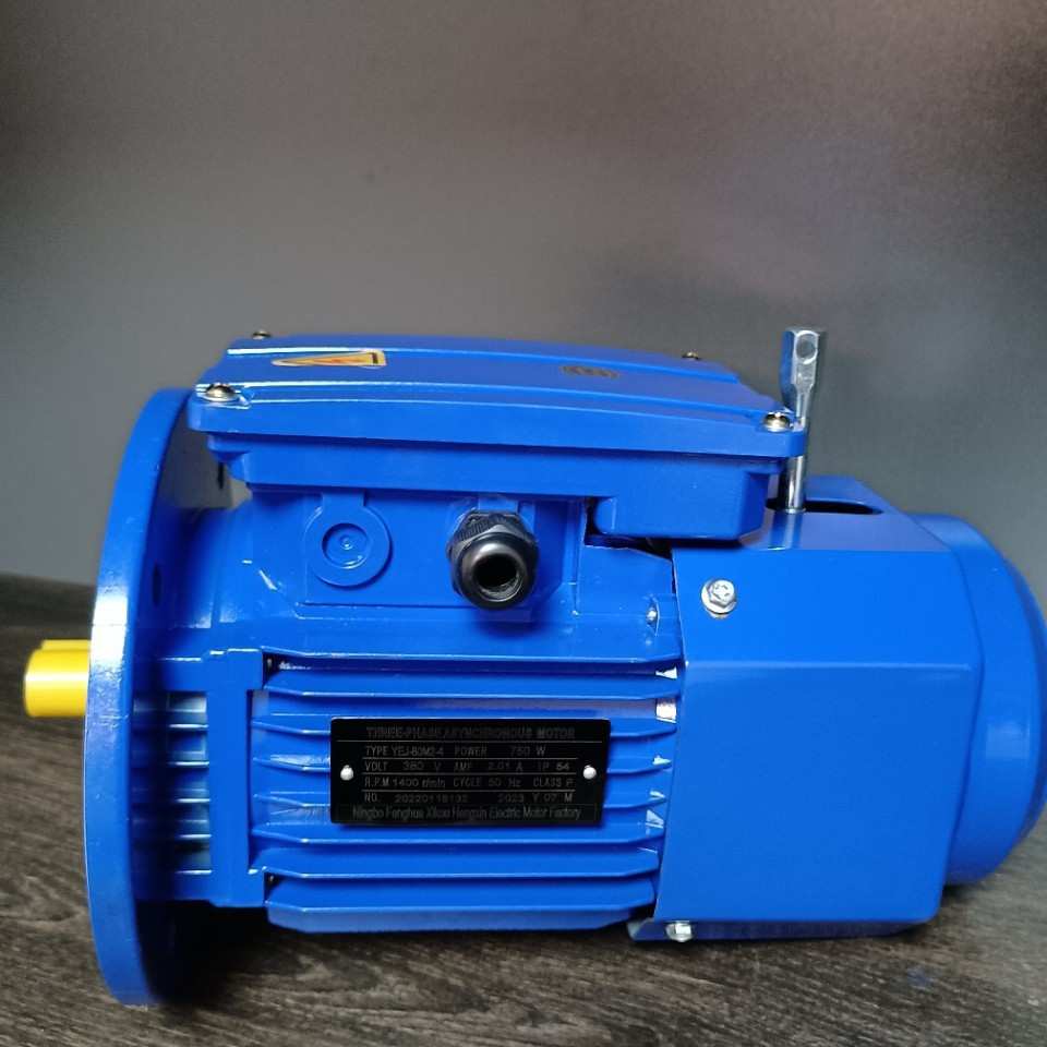 刹车电机快速门电机YEJ-80M2-4-750W-B5