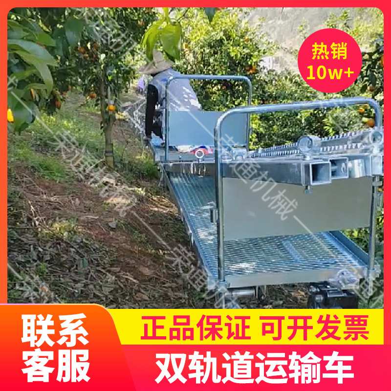 农用轨道搬运车农作物果蔬移动装卸索道自动搬运式小型双轨运输车