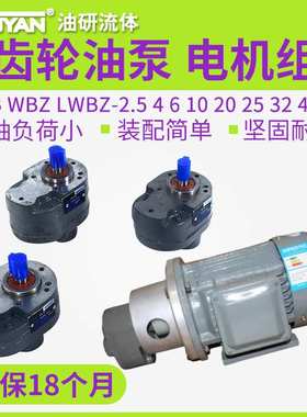 LWBZ齿轮泵CB-BM液压CB-B10油泵6/4/16/20/25/32/40/50/63/80/100