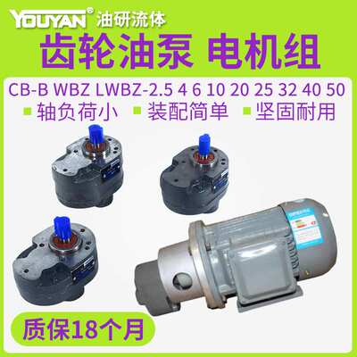 LWBZ齿轮泵CB-BM液压CB-B10油泵6/4/16/20/25/32/40/50/63/80/100