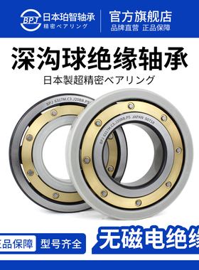BPJ日本原装进口轴承6314M铜保深沟球轴承6317绝缘轴承型号大全