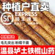 顺丰 铁棍怀山药正宗温县新鲜焦作垆土淮山药糯面铁杆5斤特产地发
